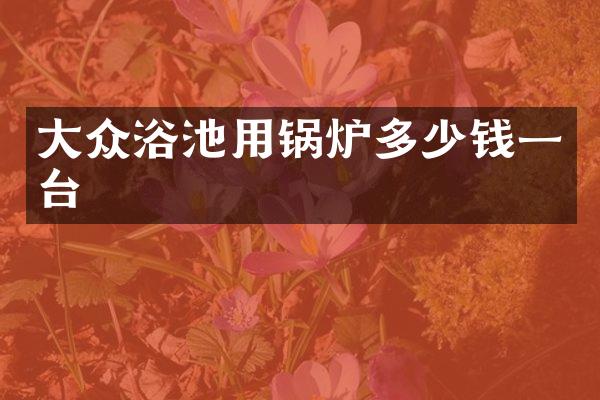大众浴池用锅炉多少钱一台