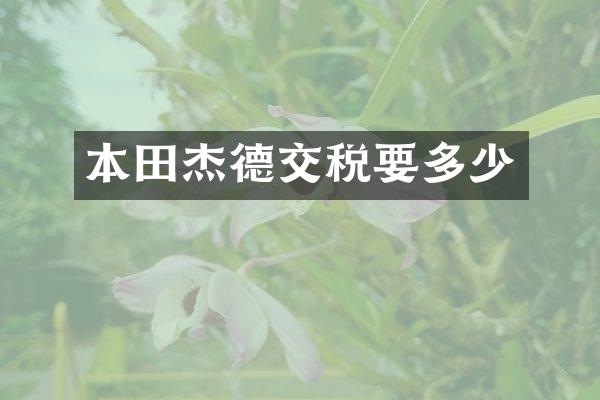 本田杰德交税要多少
