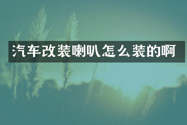 汽车改装喇叭怎么装的啊