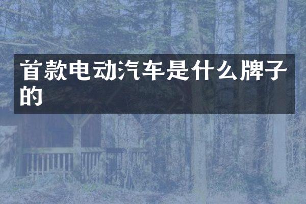 首款电动汽车是什么牌子的