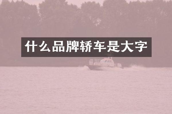 什么品牌轿车是大字