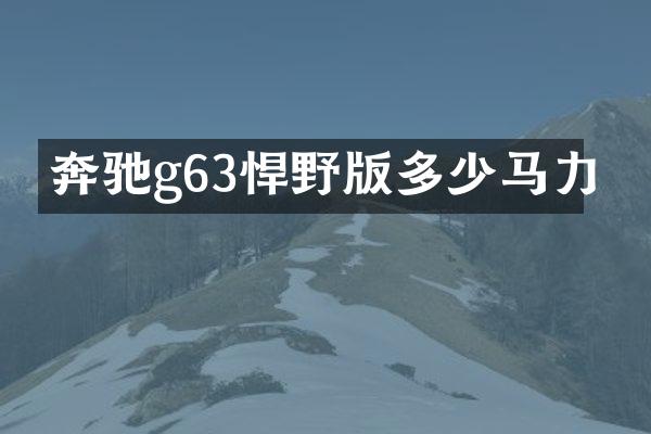 奔驰g63悍野版多少马力