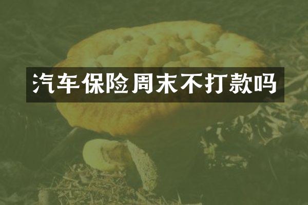 汽车保险周末不打款吗