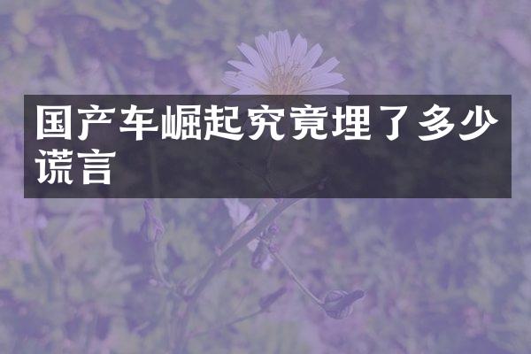 国产车崛起究竟埋了多少谎言