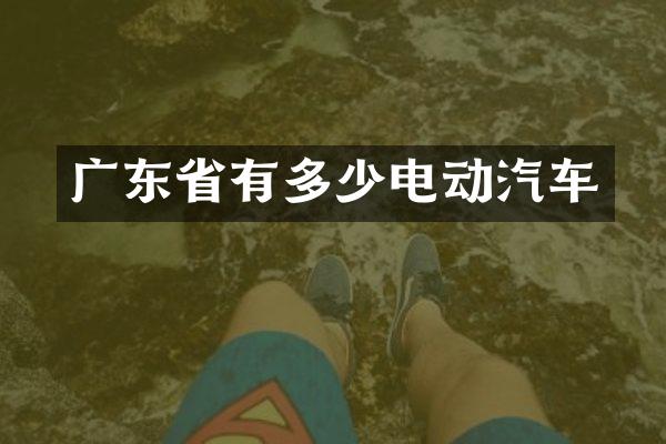 广东省有多少电动汽车