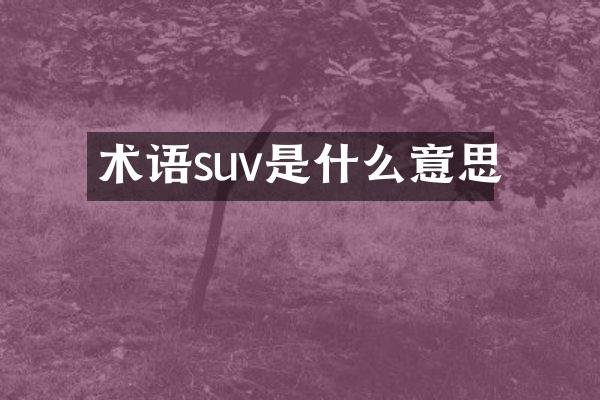 术语suv是什么意思