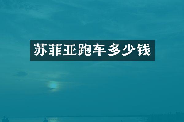 苏菲亚跑车多少钱