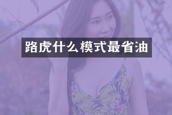 路虎什么模式最省油