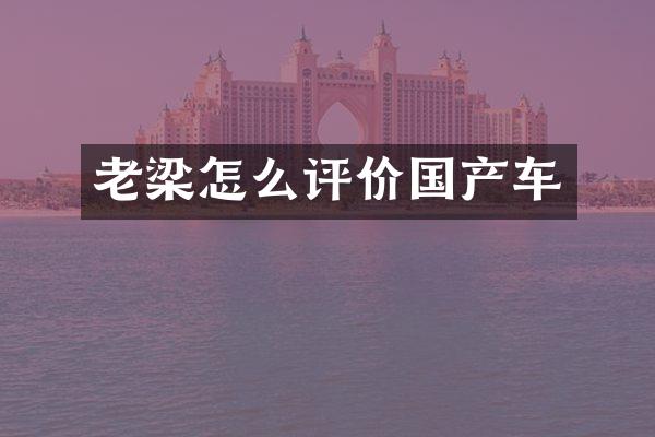 老梁怎么评价国产车