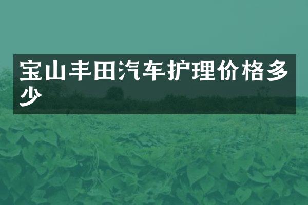 宝山丰田汽车护理价格多少