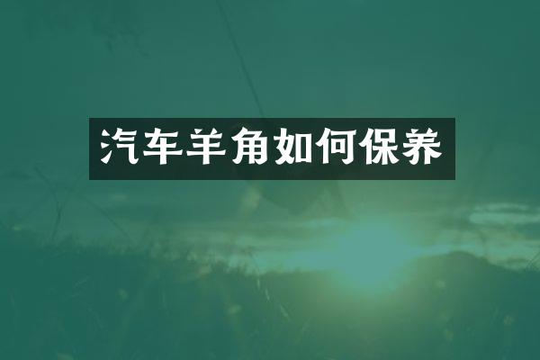 汽车羊角如何保养