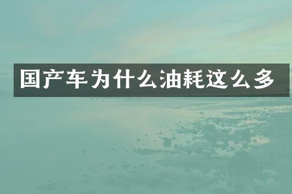 国产车为什么油耗这么多