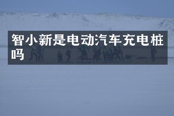 智小新是电动汽车充电桩吗