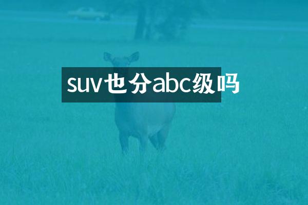 suv也分abc级吗