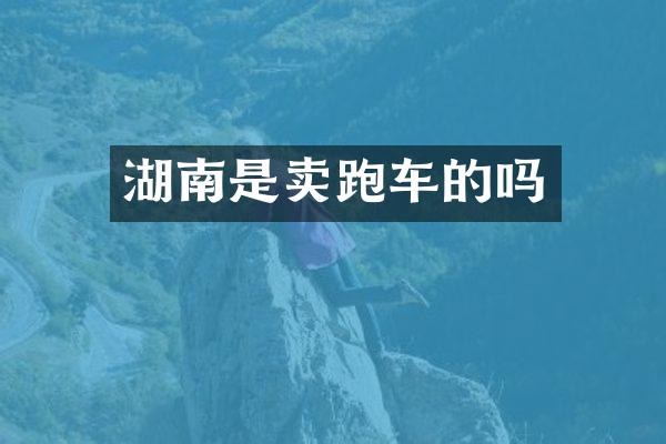 湖南是卖跑车的吗