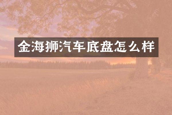 金海狮汽车底盘怎么样