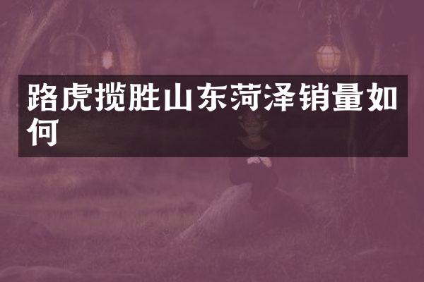 路虎揽胜山东菏泽销量如何