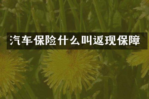 汽车保险什么叫返现保障