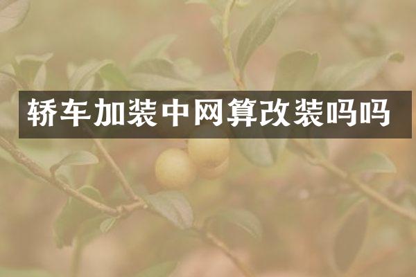 轿车加装中网算改装吗吗