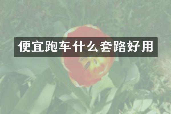 便宜跑车什么套路好用