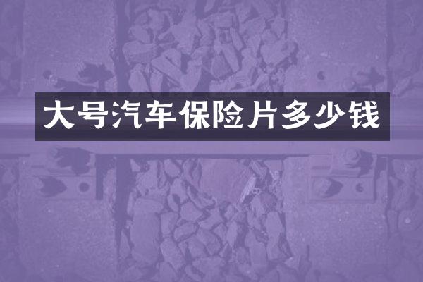 大号汽车保险片多少钱