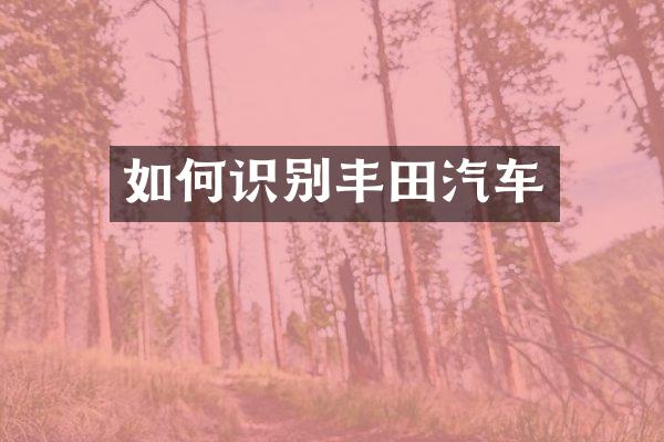 如何识别丰田汽车