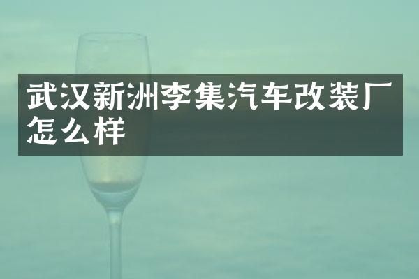 武汉新洲李集汽车改装厂怎么样