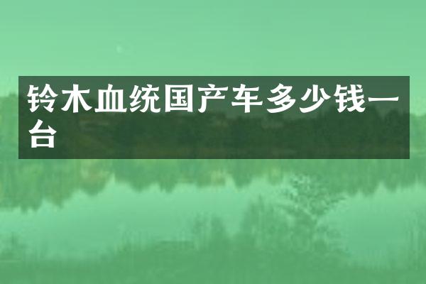 铃木血统国产车多少钱一台