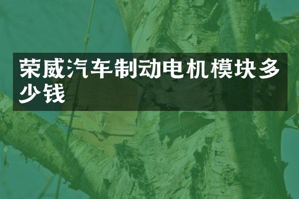 荣威汽车制动电机模块多少钱