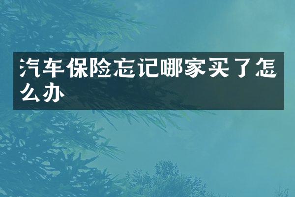 汽车保险忘记哪家买了怎么办