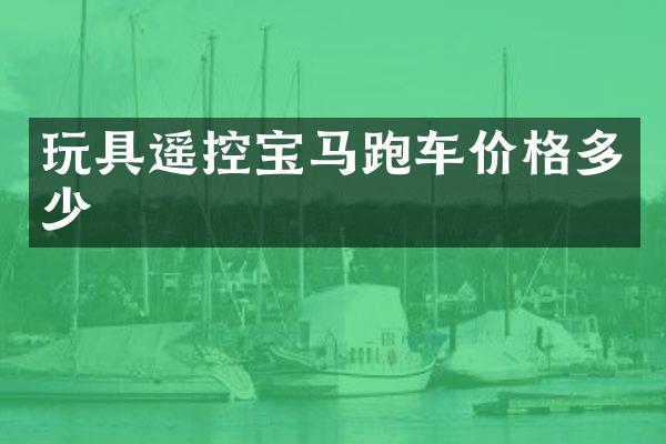 玩具遥控宝马跑车价格多少