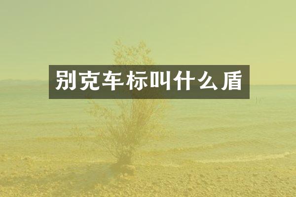 别克车标叫什么盾