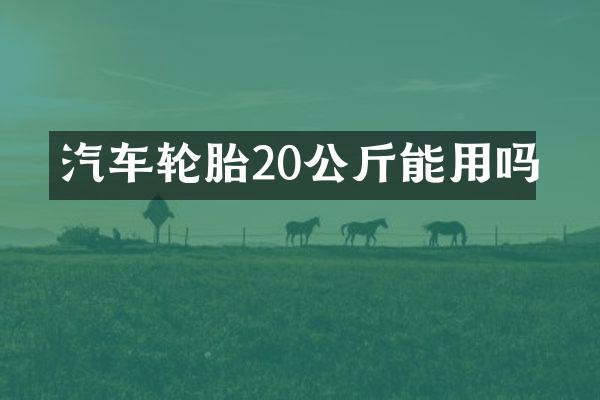 汽车轮胎20公斤能用吗