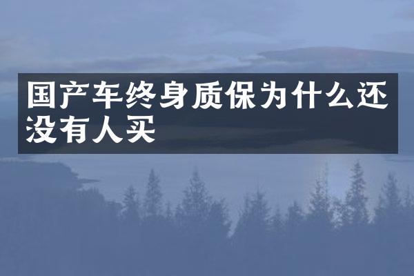 国产车终身质保为什么还没有人买