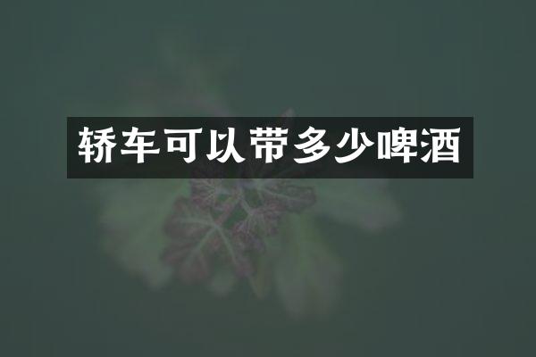 轿车可以带多少啤酒