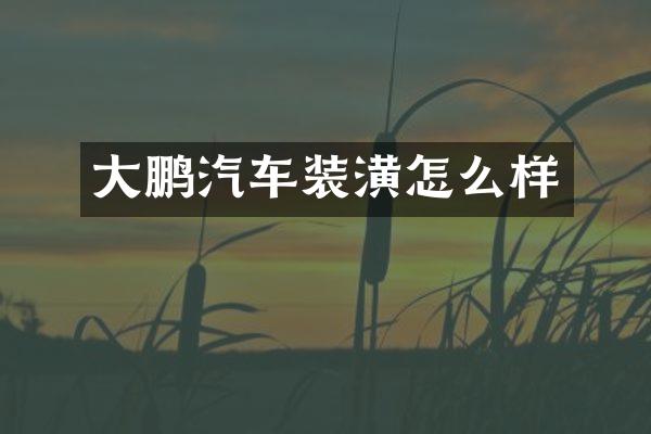 大鹏汽车装潢怎么样
