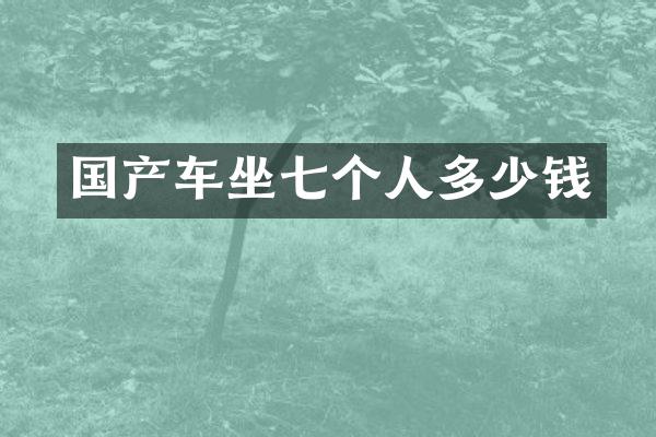 国产车坐七个人多少钱