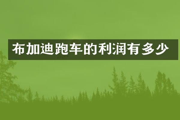布加迪跑车的利润有多少