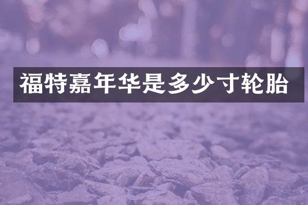 福特嘉年华是多少寸轮胎