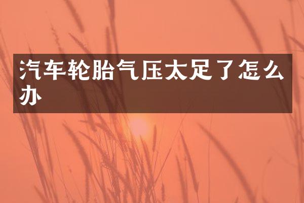 汽车轮胎气压太足了怎么办