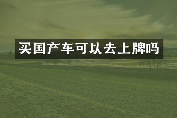买国产车可以去上牌吗