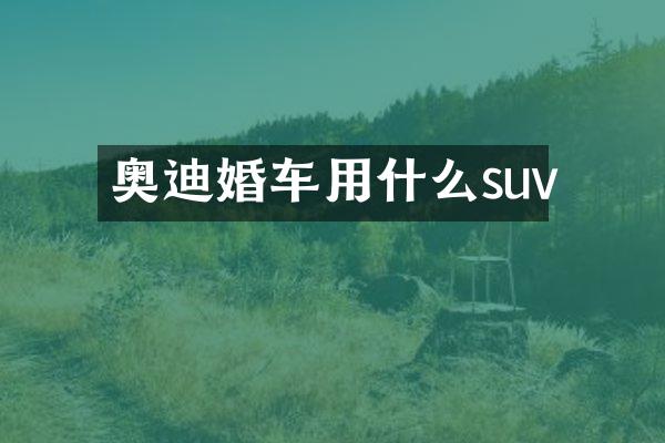 奥迪婚车用什么suv