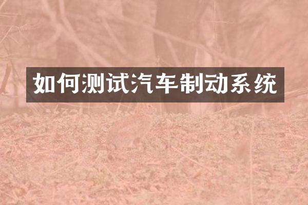 如何测试汽车制动系统