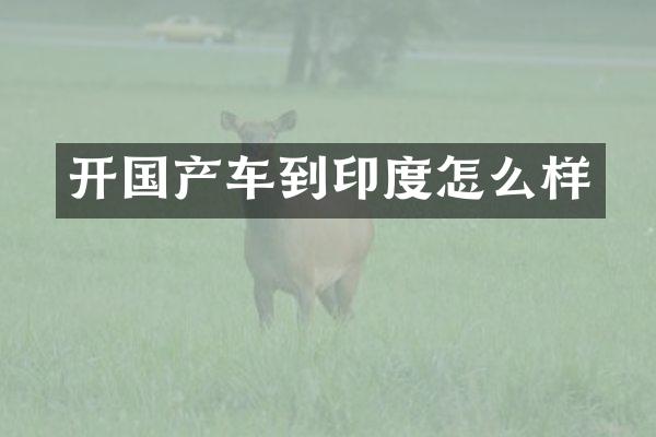 开国产车到印度怎么样
