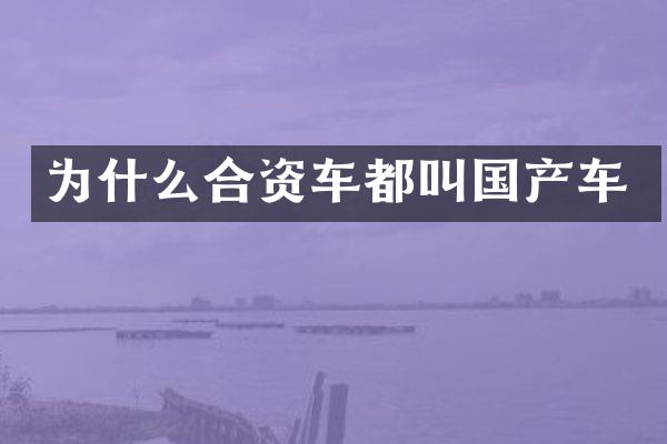 为什么合资车都叫国产车