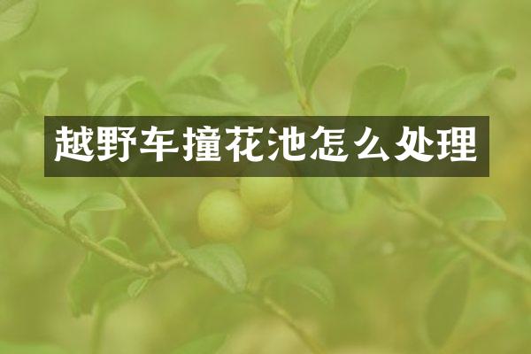越野车撞花池怎么处理