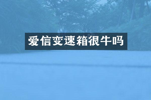 爱信变速箱很牛吗