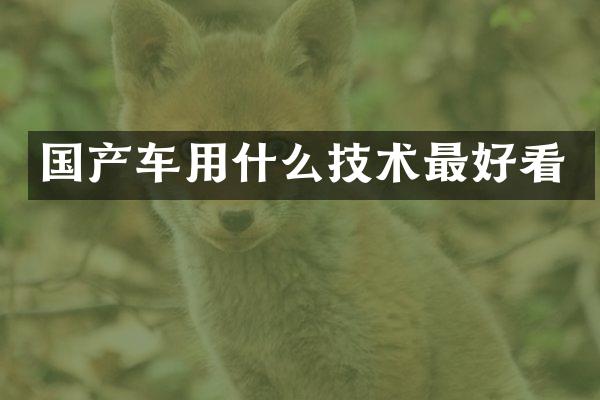 国产车用什么技术最好看