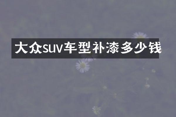 大众suv车型补漆多少钱