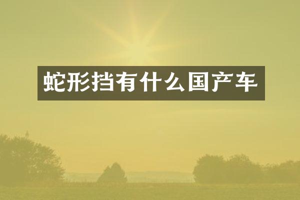 蛇形挡有什么国产车